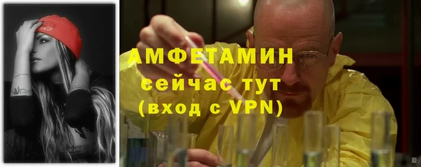 сатива Лихославль