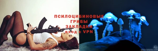 дурь Магас