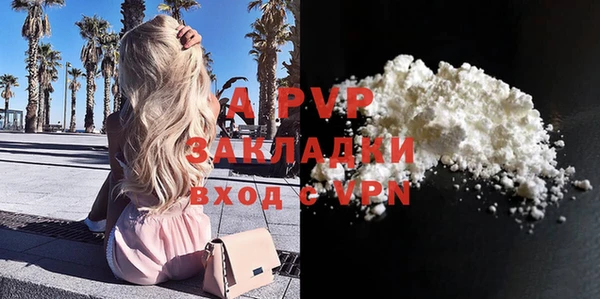 дурь Магас