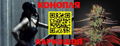 амф Дубна