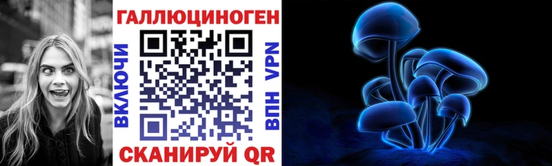 Псилоцибиновые грибы Psilocybe Ханты-Мансийск