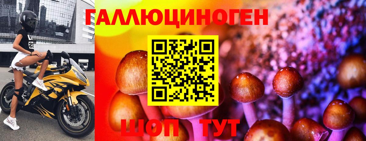 Псилоцибиновые грибы Psilocybe Ханты-Мансийск